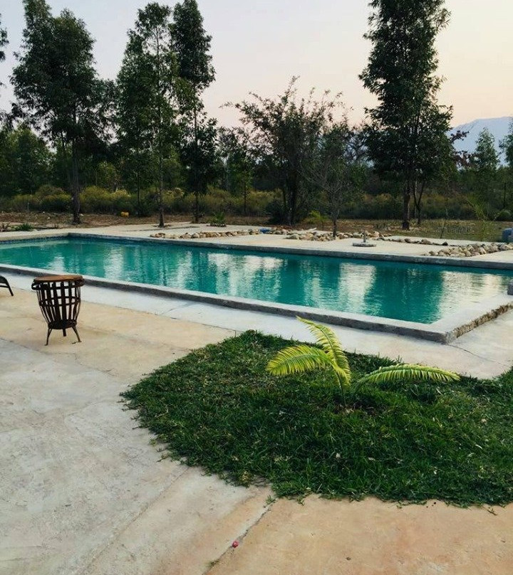 Moholoholo Lodge主图