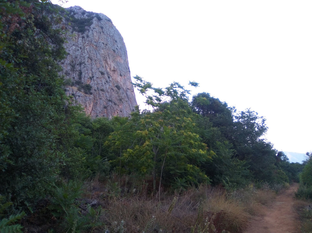 Parco della Favorita-巴勒莫必去景点