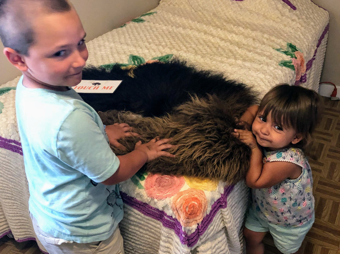 Haines Shoe House-Hellam必去景点