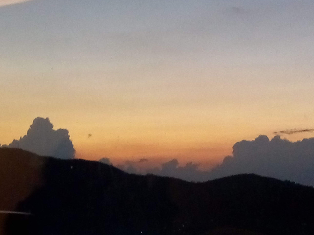 Te Aroha By Shervani主图