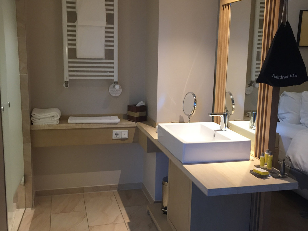 Delta Hotels by Marriott Frankfurt Offenbach主图