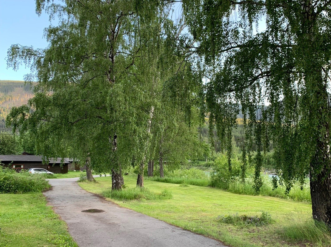 Sjoa Camping