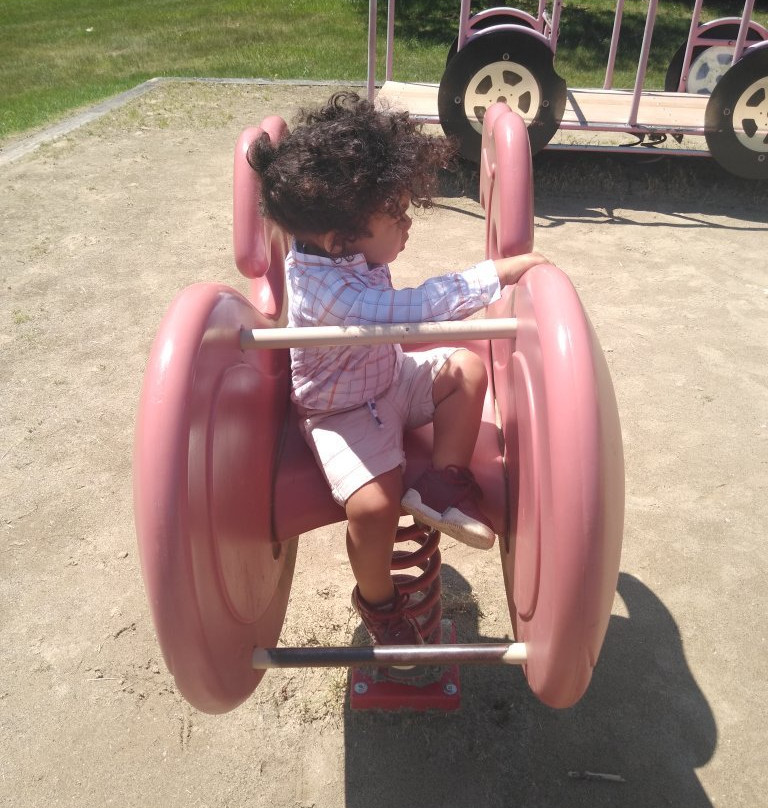 Brookdale Woods Park-罗切斯特山必去景点