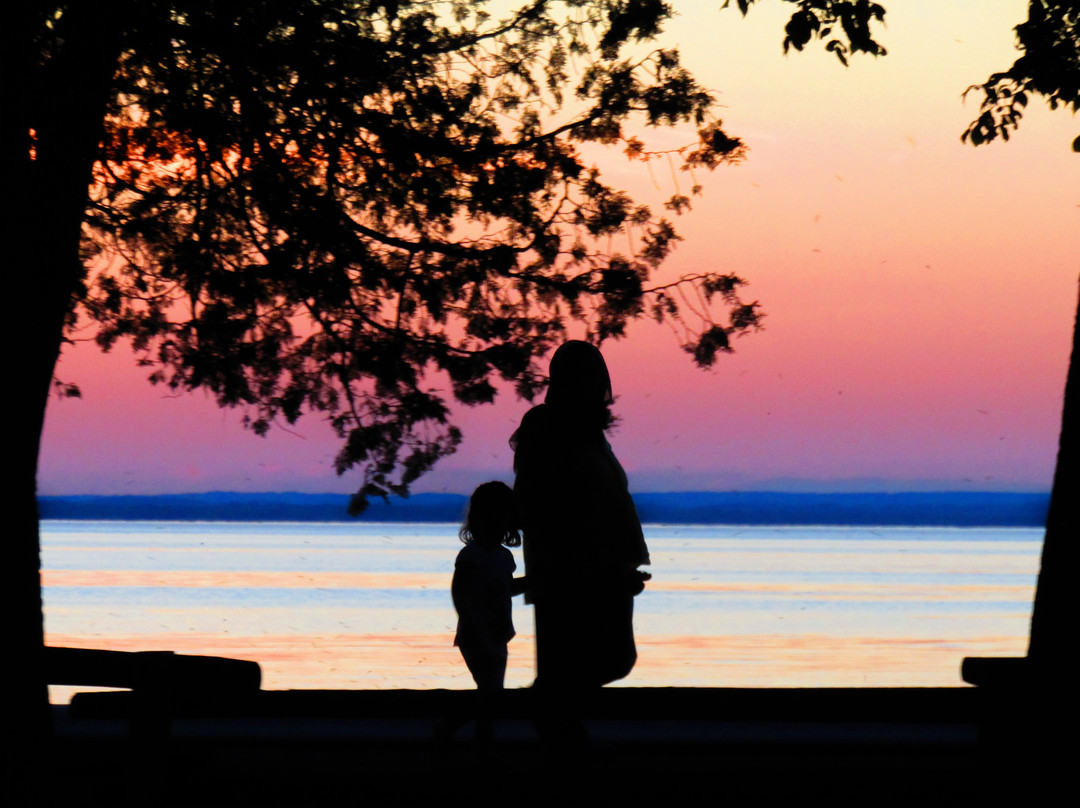 Willow Beach Conservation Area-Georgina必去景点