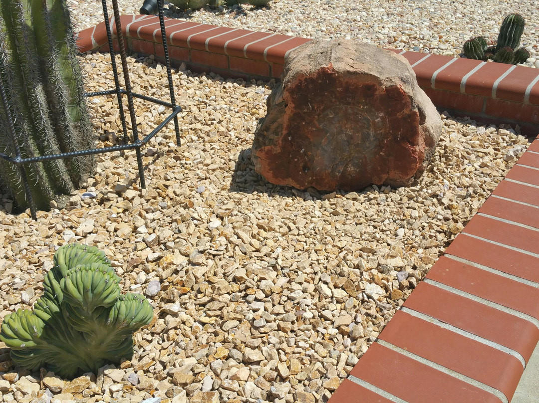 Geronimo's Trading Post-霍尔布鲁克必去景点