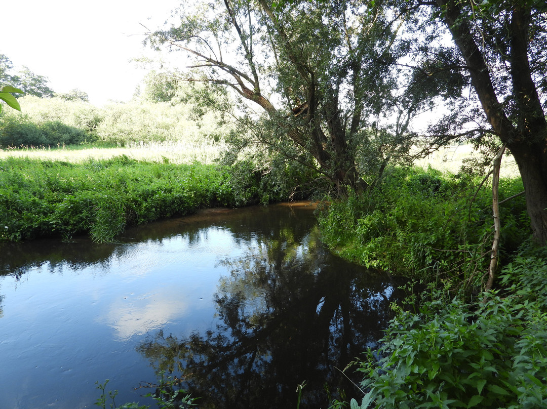 Meanderende Swalm in het Groenewoud景点图片