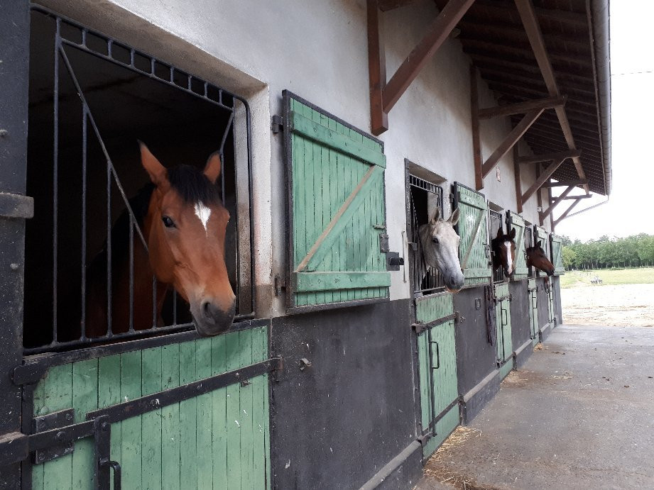 Maison d'hotes La Tuilerie主图