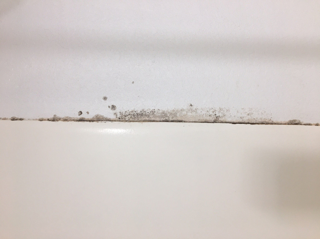 Budget Host Inn & Suites主图