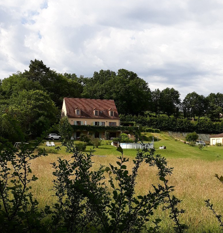 Les Jonquilles主图