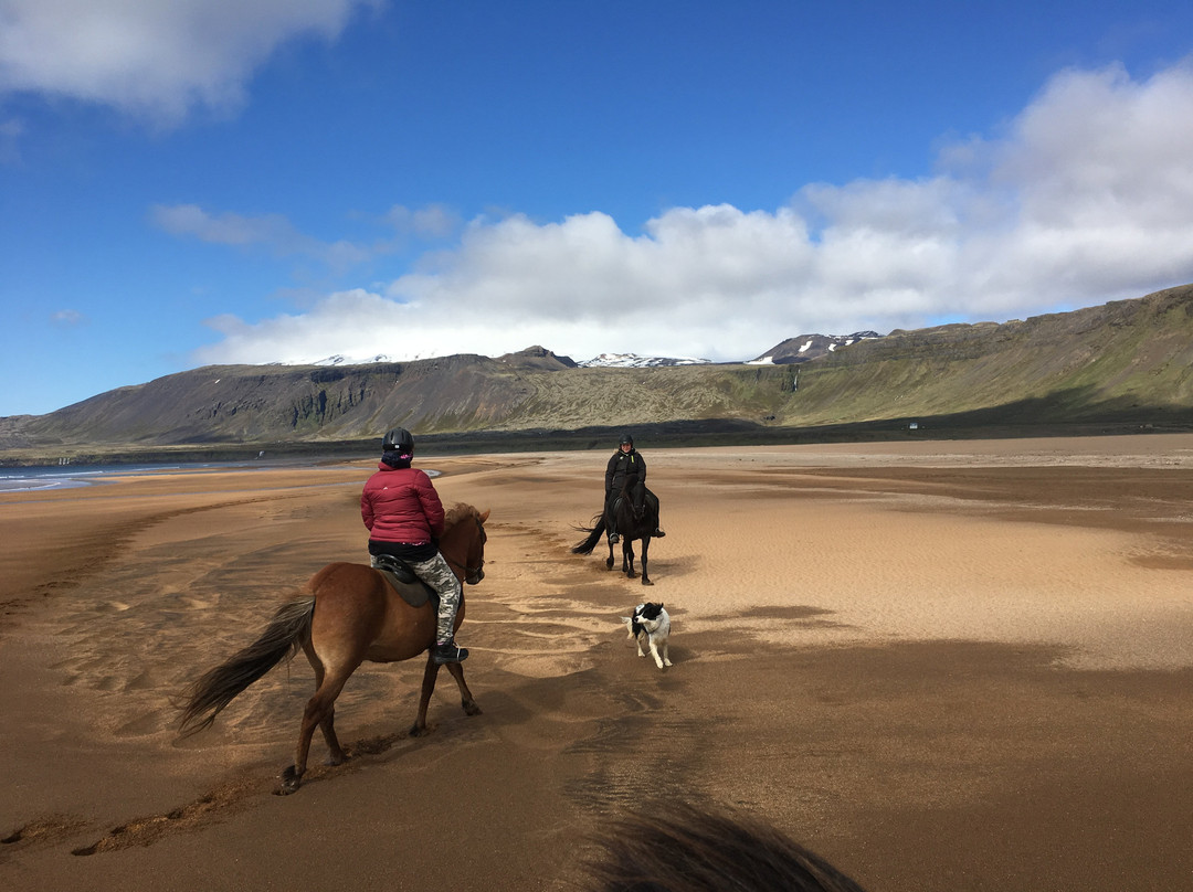 Stori Kambur Horse Rental-Snaefellsbaer必去景点