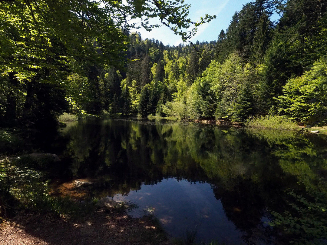 Le Lac des Corbeaux景点图片