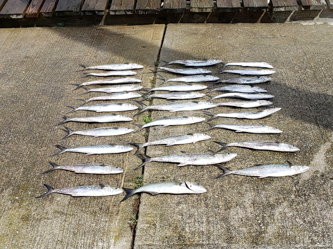 Fishin' Fannatic景点图片