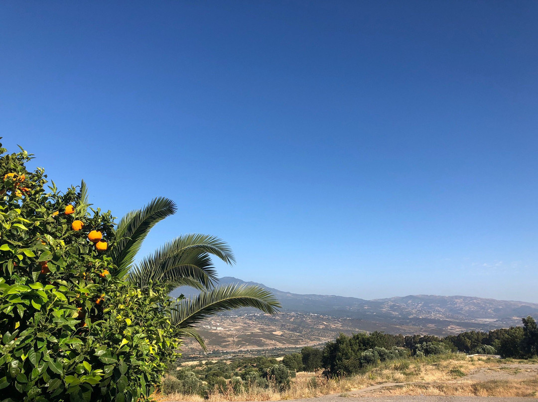 Touraghine Hotel & Cafe主图