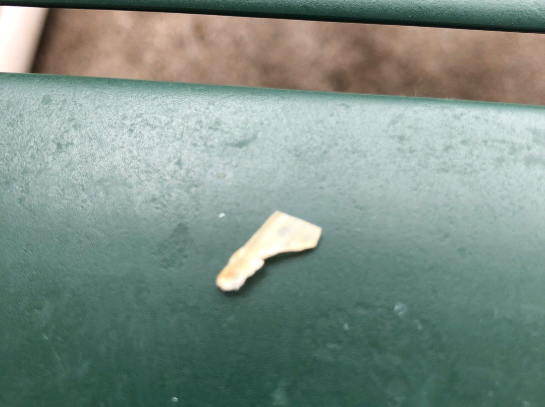 Pine Mountain State Resort Park-Pineville必去景点