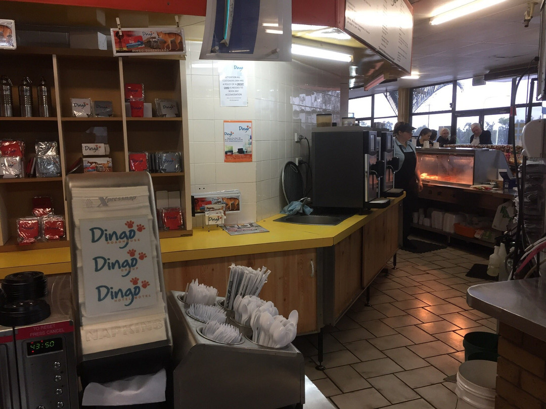 Dingo旅游攻略图片