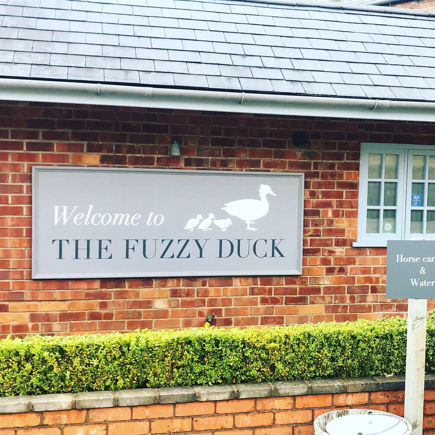 The Fuzzy Duck-官方