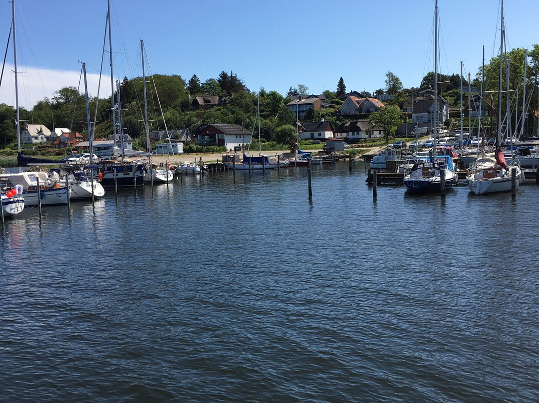 Hjarbaek Havn景点图片