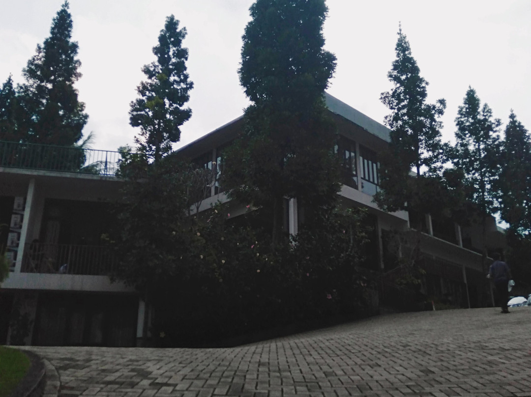 Jimmers Mountain Resort主图