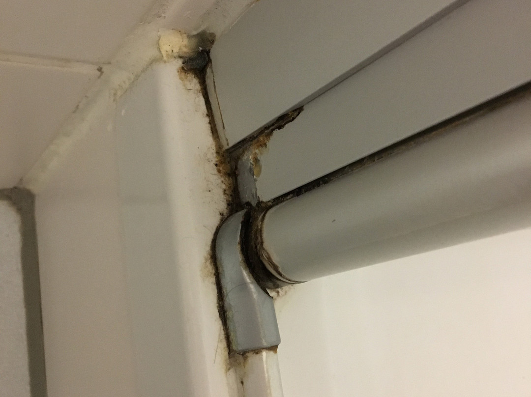 Ostseehotel Haus Antje主图