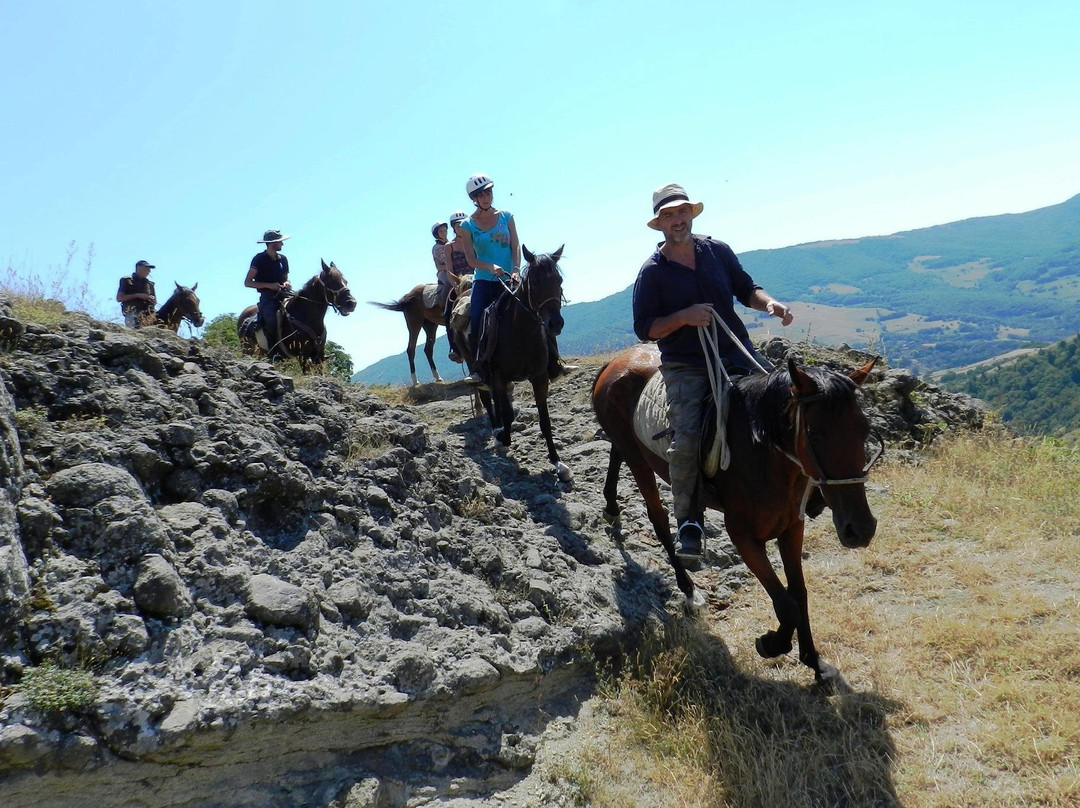 WehostXP-第比利斯必去景点