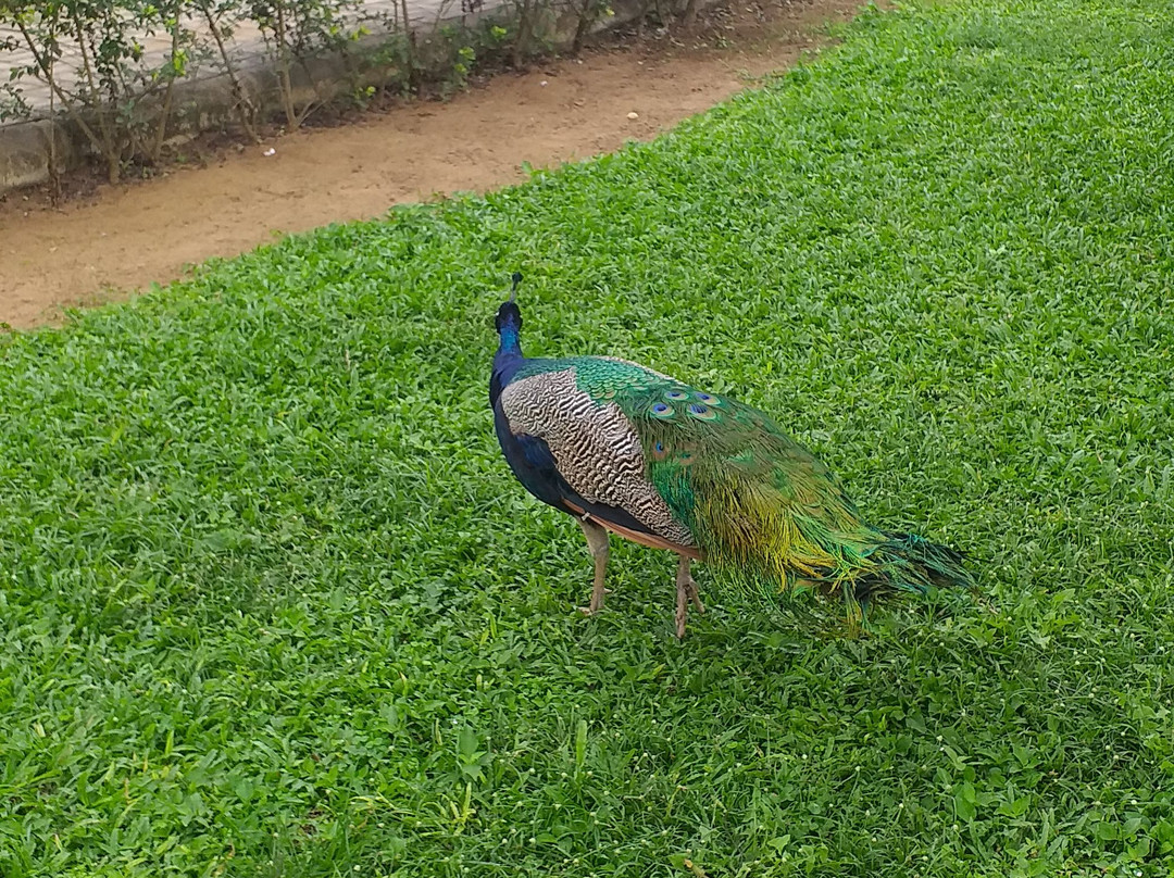 Hotel Tavares Correia主图