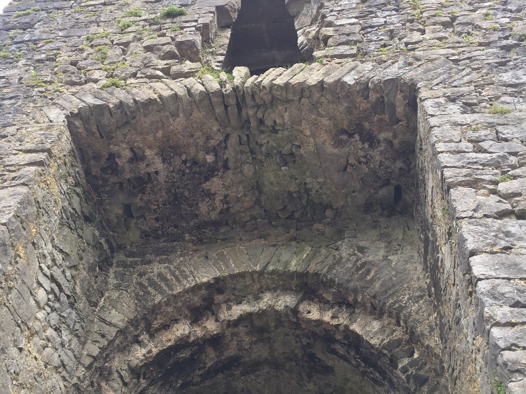 Liscarrol Castle-Liscarroll必去景点