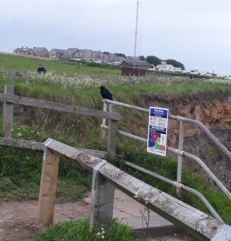 Whitley Bay Links and Beach景点图片