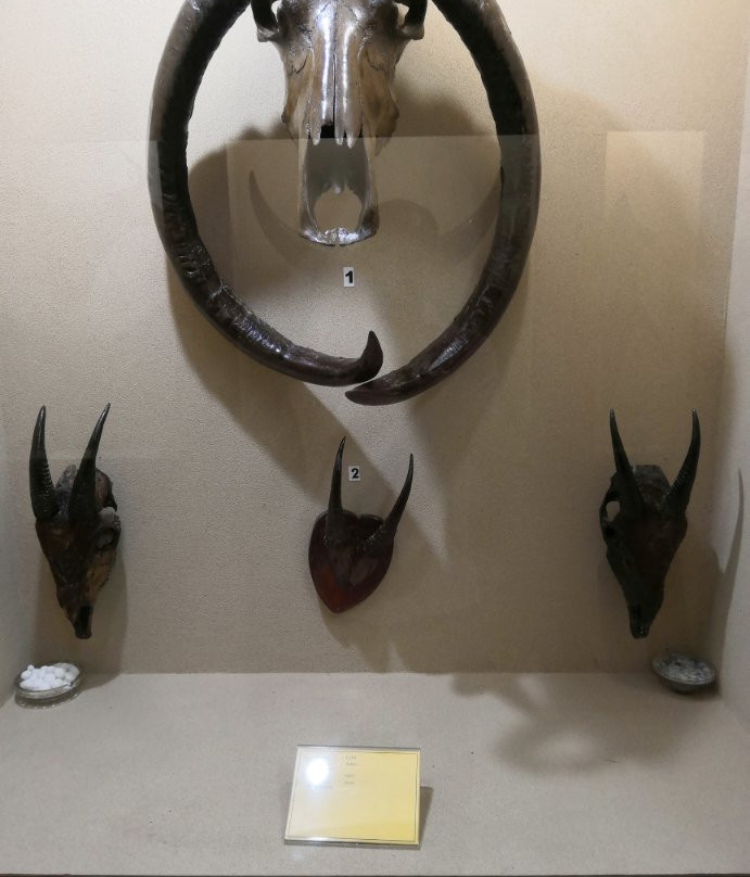 Mizoram State Museum-艾藻尔必去景点