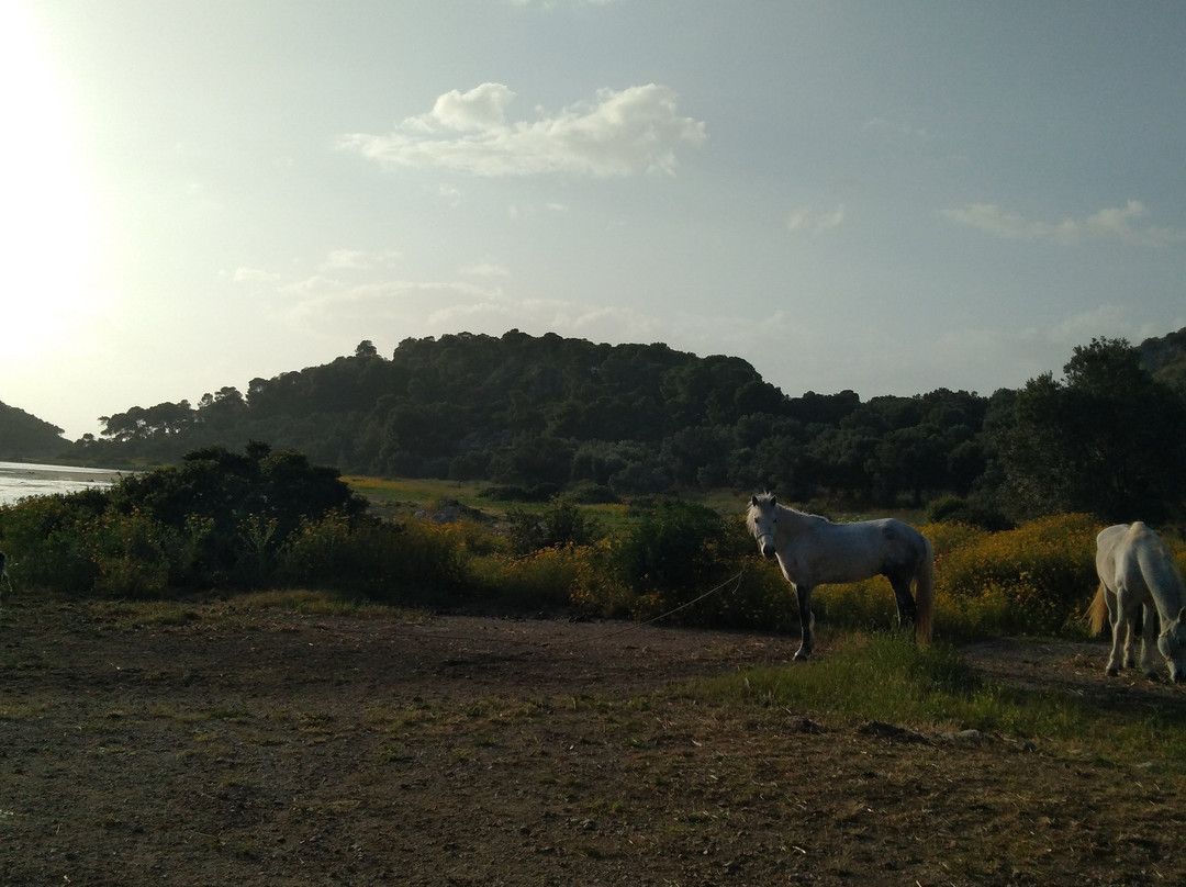Horse Riding Aponisos景点图片