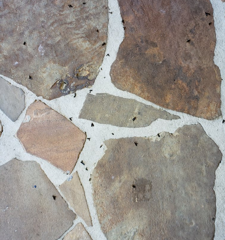 Westgate River Ranch Resort-莱克威尔士必去景点