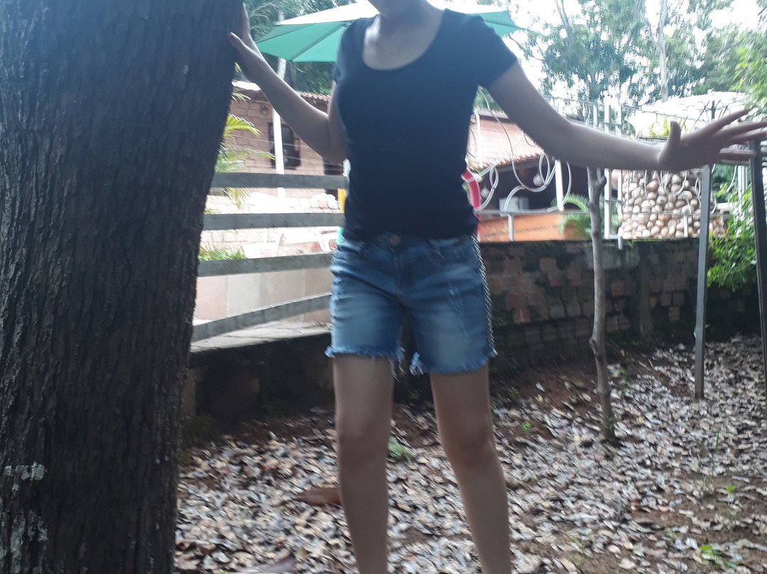 Pousada Bosque do Lapao主图