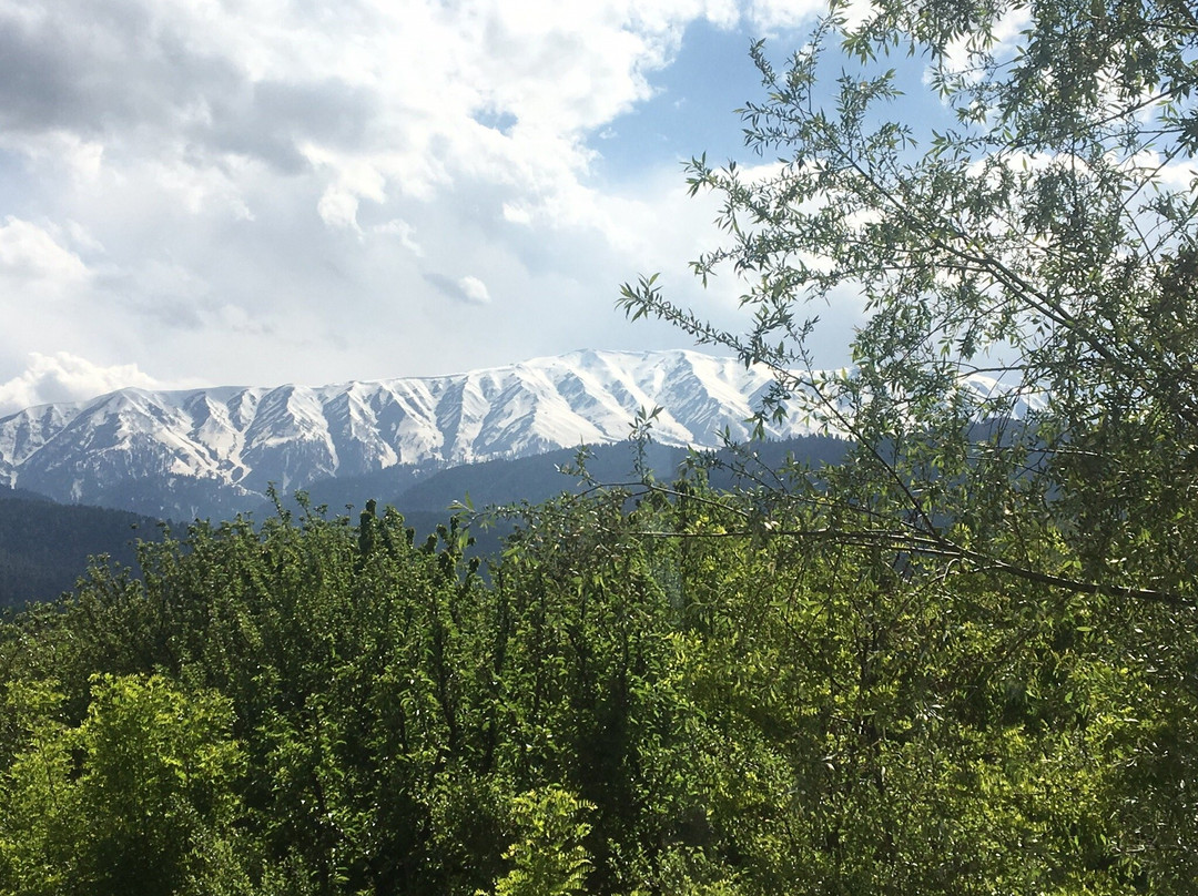 Hotel Signature主图