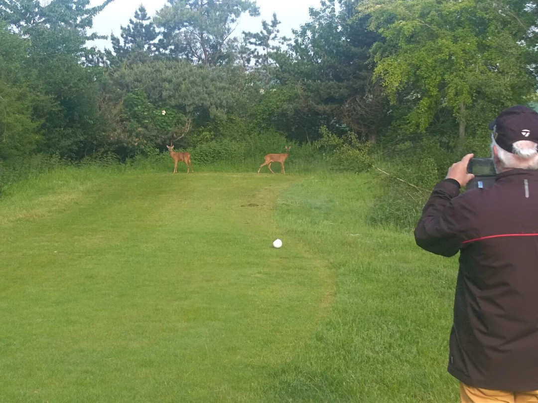 Golf Club D'Ableiges景点图片