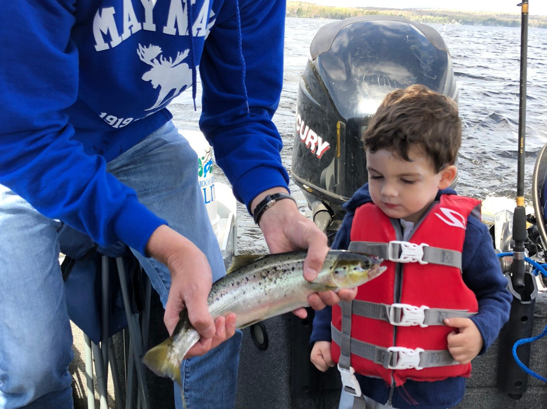 Maynard's-in-Maine主图