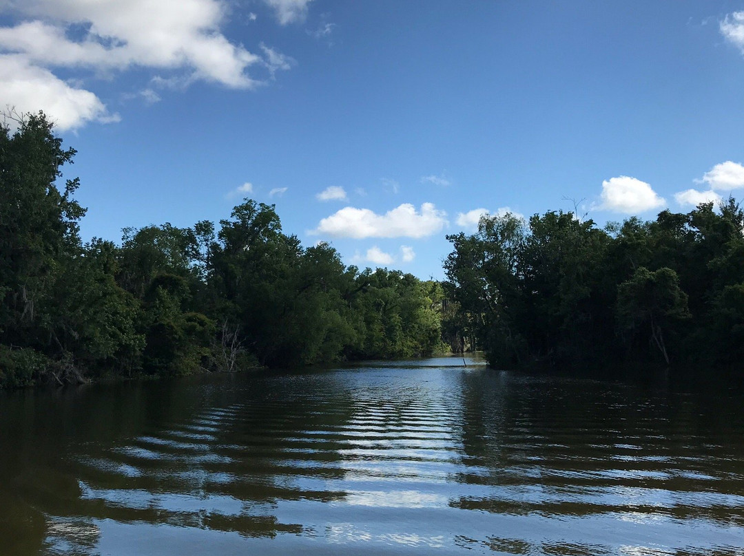 Torres Cajun Swamp Tours景点图片