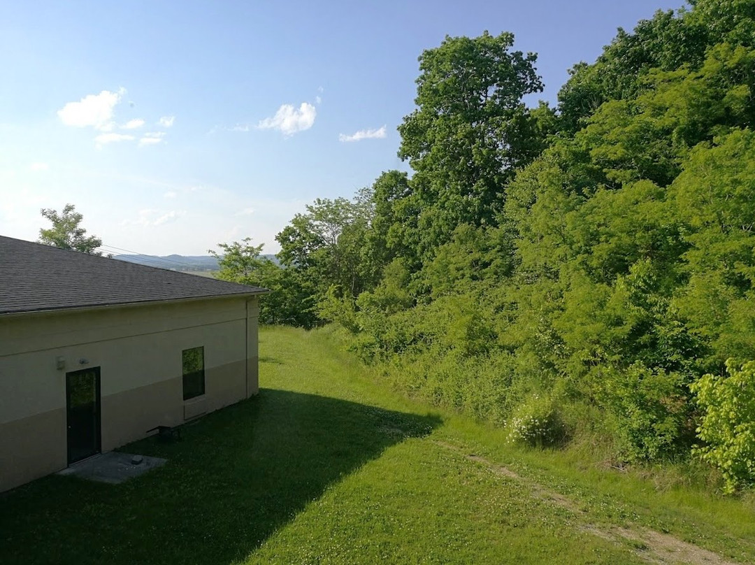 Quality Inn & Suites主图