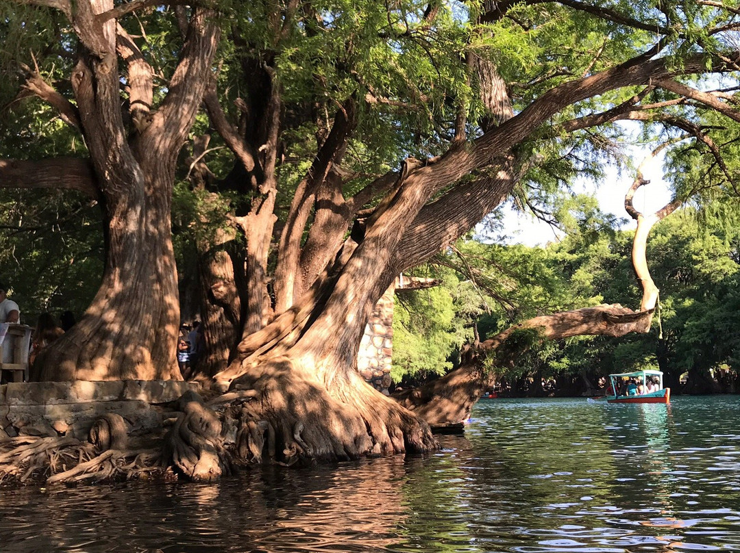 Lago de Camécuaro National Park景点图片