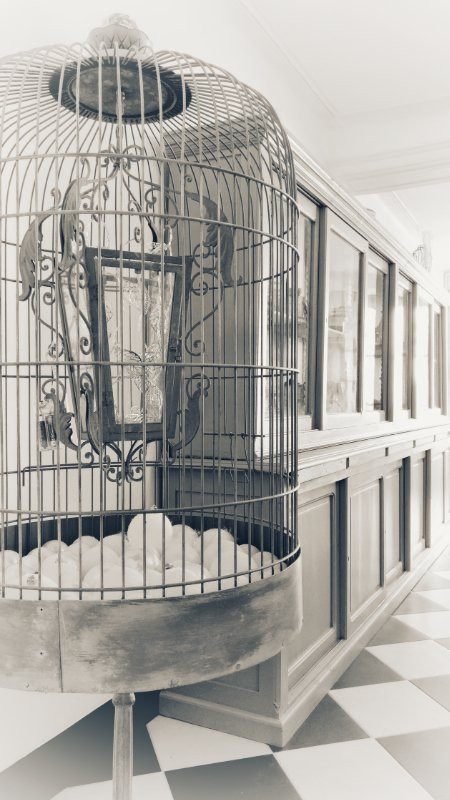 Notre Dame Chauvigny主图