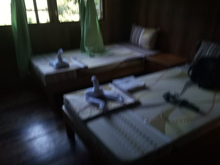 Villa del Carmen Haven Bohol主图