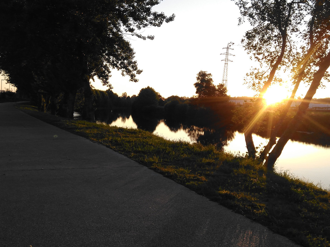 Parque das Azenhas景点图片