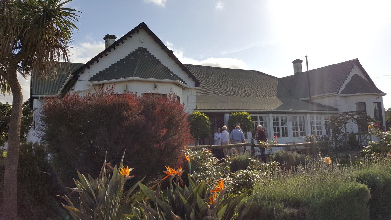 Kingston Farm-官方