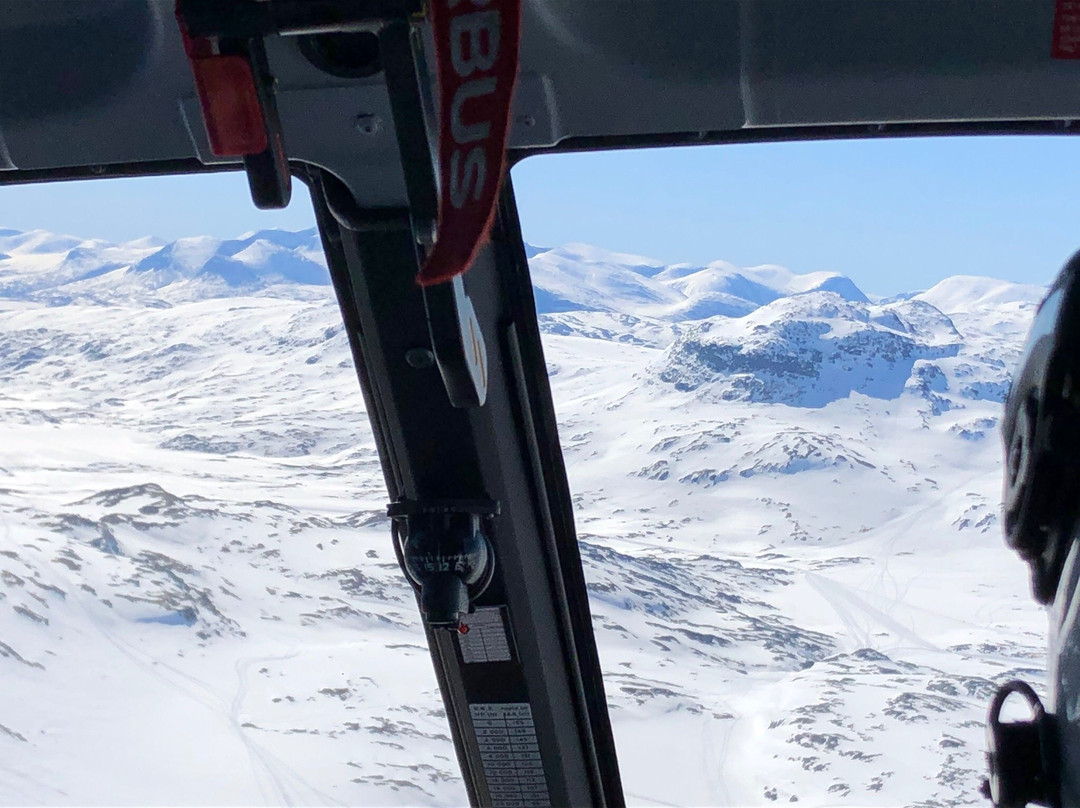 Heliski Riksgränsen - Mountain Guide Travel景点图片
