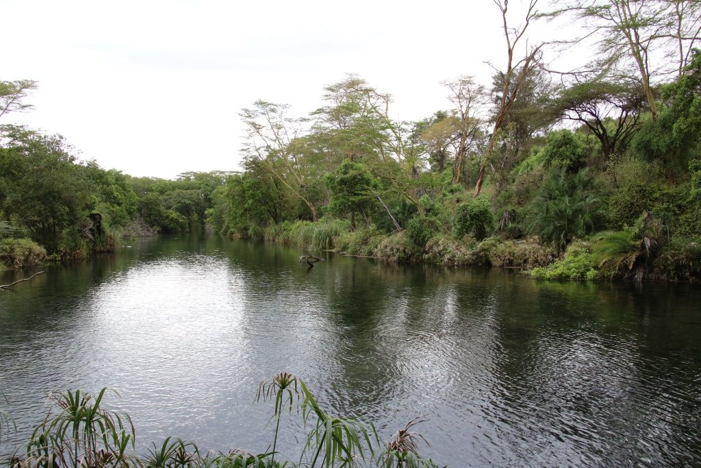 null-西察沃国家公园