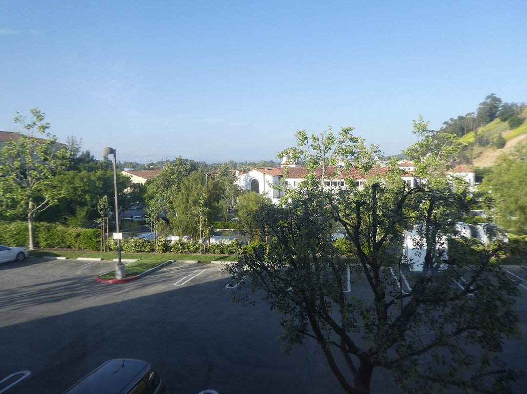 卡拉巴萨斯希尔顿花园酒店主图