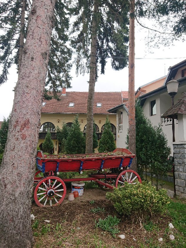Hotel Jele Jezevica-官方