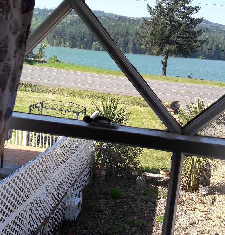 Foster Lake Inn主图