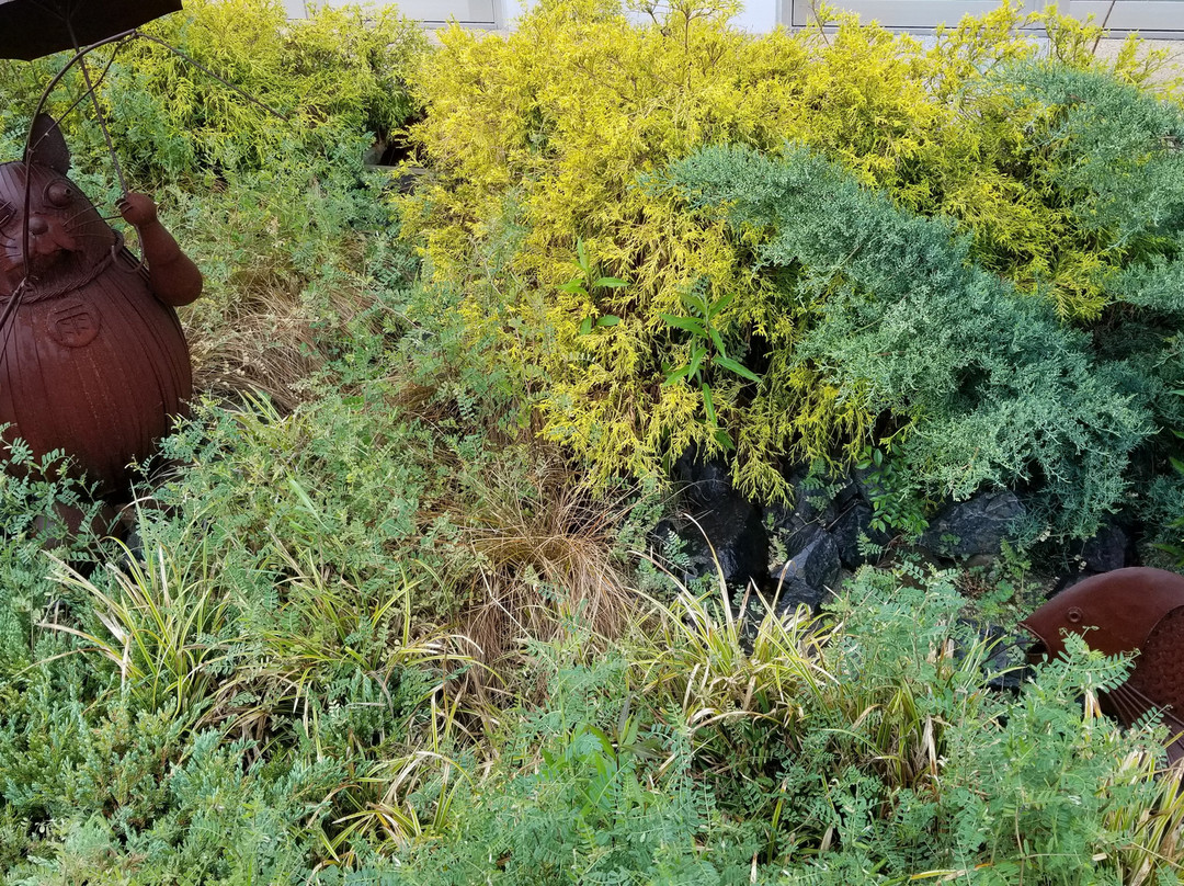 Manekineko Street-常滑市必去景点