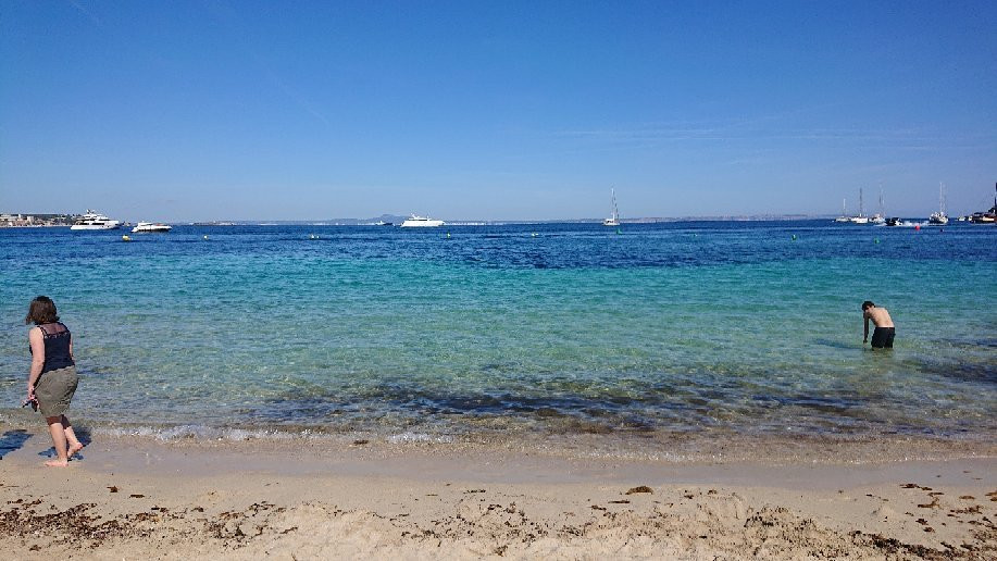 Playa Porto Novo-Palmanova必去景点