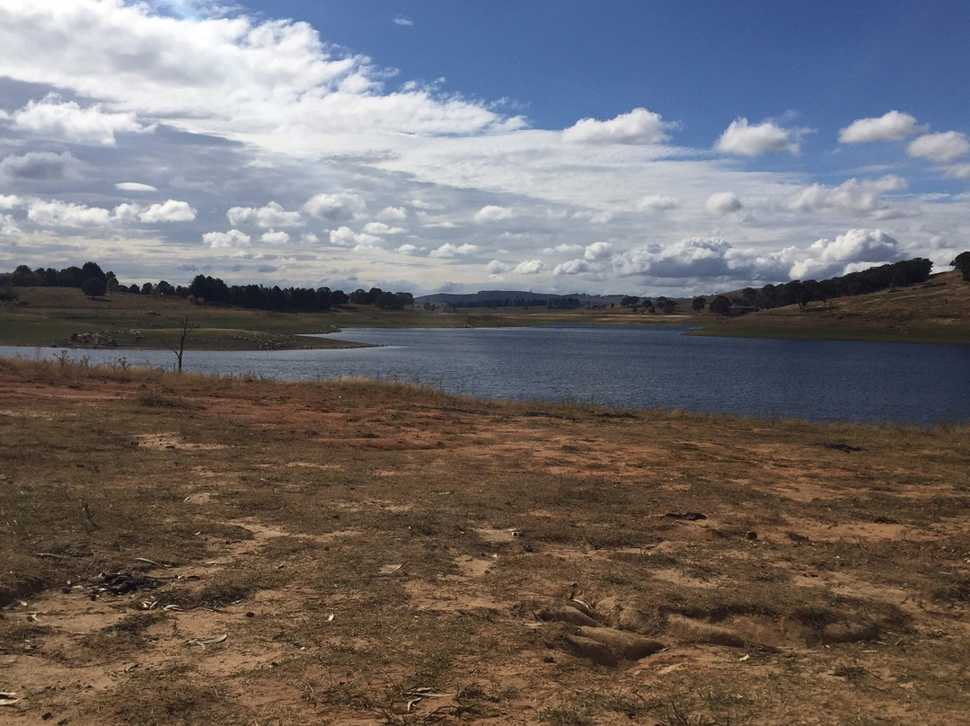 Carcoar Dam景点图片