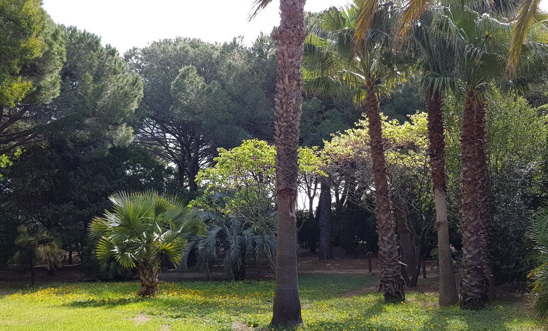 Jardin Botanique des Myrtes景点图片